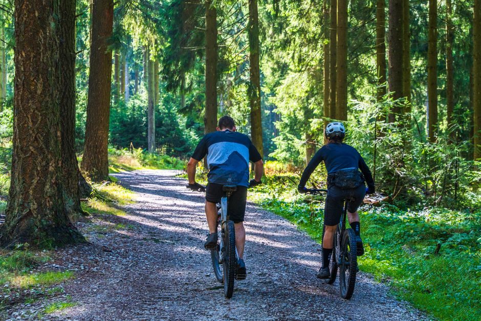 Trek Marlin 7 dağ bisikleti - L kadro